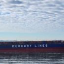 티씨 코리아 이미지