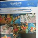 명성동물병원 | 강아지 십자인대파열 및 슬개골 수술 예은동물 병원 수술 후기