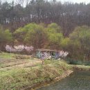 개나리농장 이미지