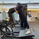 랩 지피티짐 이미지