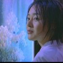 쉬리 - 당진시 | 쉬리