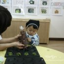 마들렌주
