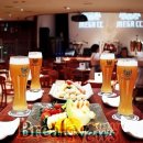 맥스호프 브레이크뉴스