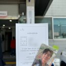 4월 | 벚꽃, 티켓팅, 콘서트 그리고 페스티벌을 곁들인