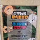 주식회사 테이블에이 고양이카페 | 합정 홍대 실내데이트 테이블에이 알파카를 눈앞에서 보는 이색 카페