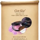애니플