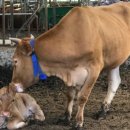 우용산업 이미지