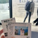 북부초등 | 오키나와 만좌모 후기 입장료 주차 운영시간 북부 관광지 필수코스