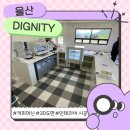 진성에나멜동선 | 울산 카페주방 동선 설계 및 3D도면 설계, "디그니티" 커피머신 패키지 설치까지 토탈 카페창업컨설팅