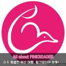 온드림여행사 | 특별한 부산여행, 핑크로더 부산온나와 함께!