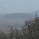 선흘바농