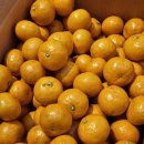 예산청과 이미지