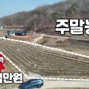 양사면-4 이미지