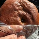 향기로운주유소 | 창원터널빵집 박종진베이커리 단팥빵맛집 김해부산방면