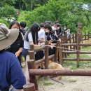 드림모두팜 이미지