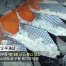 (주)케이앤피푸드