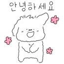 아이홀릭커피