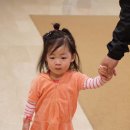20개월 아기랑 제주도여행 준비사항_에어부산/빌리카/제주명품유모차카시트/그리고 숙소편