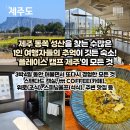 캠프부분정비 | [제주] 1인 나홀로 여행자들의 추억이 가득한 성산일출봉 숙소(플레이스 캠프 제주)