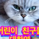모여봐요고양이카페
