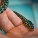 ITQ자격증 이미지