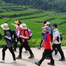 (주)구룡관광여행사