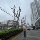 휘경38 이미지