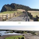 제주 올레길 21코스 이미지