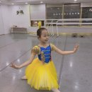 지민10 | 8세발레전공 서하의 이야기~^^♡적는 김에 정기공연후기랑 사진도 대부분 올렸어요ㅎㅎ 광명발레학원...