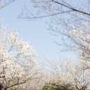 오유엔(oun)