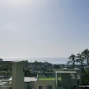 경주마리벨B동