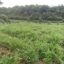 왕촌농산 이미지