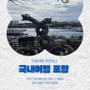 평택에서 출발한 1박2일 포항 가족여행코스 포할데이트 내돈내산 코스:)