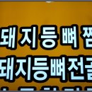 대왕가든 이미지