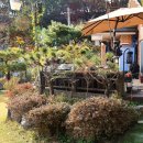 수동사우나 이미지