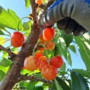 시후농장 이미지