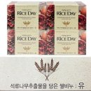 라이스데이 쇼핑하우