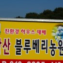 금메달농장 이미지