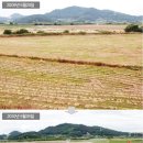 낙동강변 축구장 1 이미지