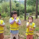 알프스 유아숲체험원 이미지