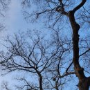 중동로 296 | 괜히 마음이 끌려 찾아간 날, 혜윤궁에서의 솔직한 하루 기록