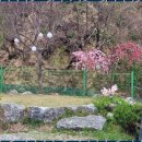 동해민박 이미지