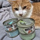 오션 캣 | [고양이 주식캔 추천] 퍼시캣 파인다이닝 무스 2종 체험단 후기