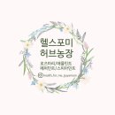 송학할매손두부 이미지