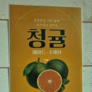청도군-9 | [경북/청도군]운문면 ‘카페 방문객‘ 후기_뚜벅이 ㅣ 운문사카페 타로카페