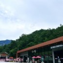 영동군 관광안내소 이미지