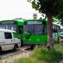 동진버스 이미지