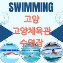 고양체육관 수영장 이미지
