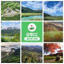 오투투어여행사