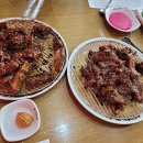 나정상회 티스토리